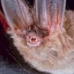 Essence Of Reality 2 (Original Mix)