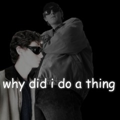 whydididoathing