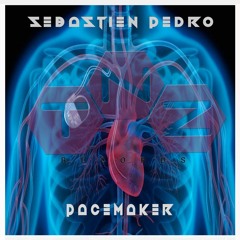 Pacemaker (Original Mix) Sebastien Pedro