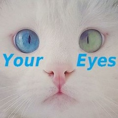 Your Eyes!