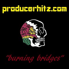 FREE Hip Hop Instrumental "Burning Bridges" Currensy type beat