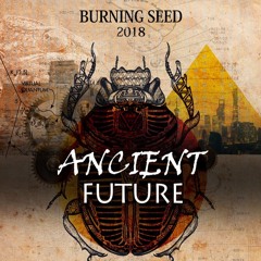 amháin + Andy Ef + Stuart Hunter b2b2b @ Mind Sub ~ Burning Seed 2018, AUS