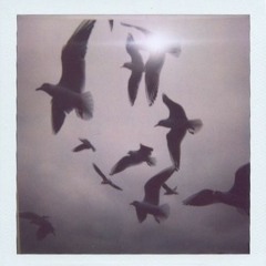 Big Simi (prod. ForeignGotEm)