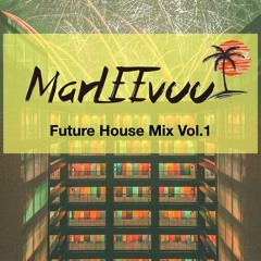 DJ MarLEEvuu Future house Mix Vol.1