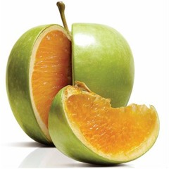 No Fakes ft. Frosty B (Prod. Yung Tago)