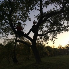 jeg elsker... (canon)