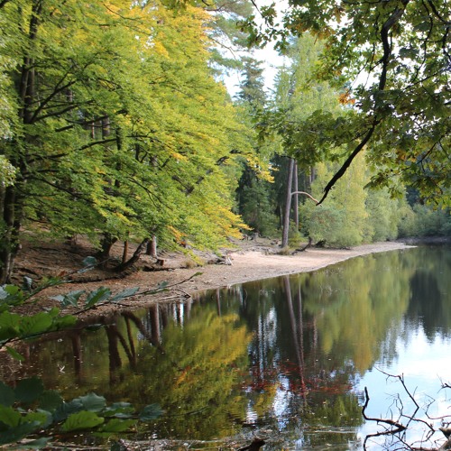 Autumn 2018