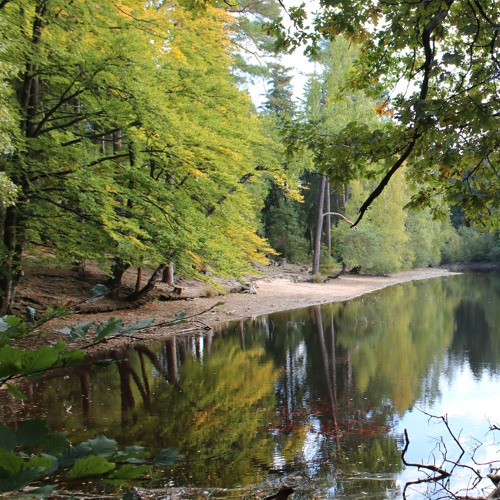 Askprojekt -  Wiesbütt Lake