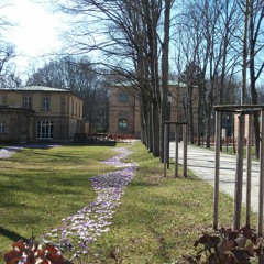 Dolore Ext (Grace version)