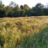 VALLEY To Be Warm: Angharad