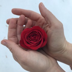 Nirvana - Dumb (cover)