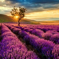 Ghazi Balucci - Better Man (acoustic cover)