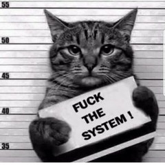 F*ck The System
