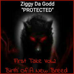 Ziggy Da Godd - Protected