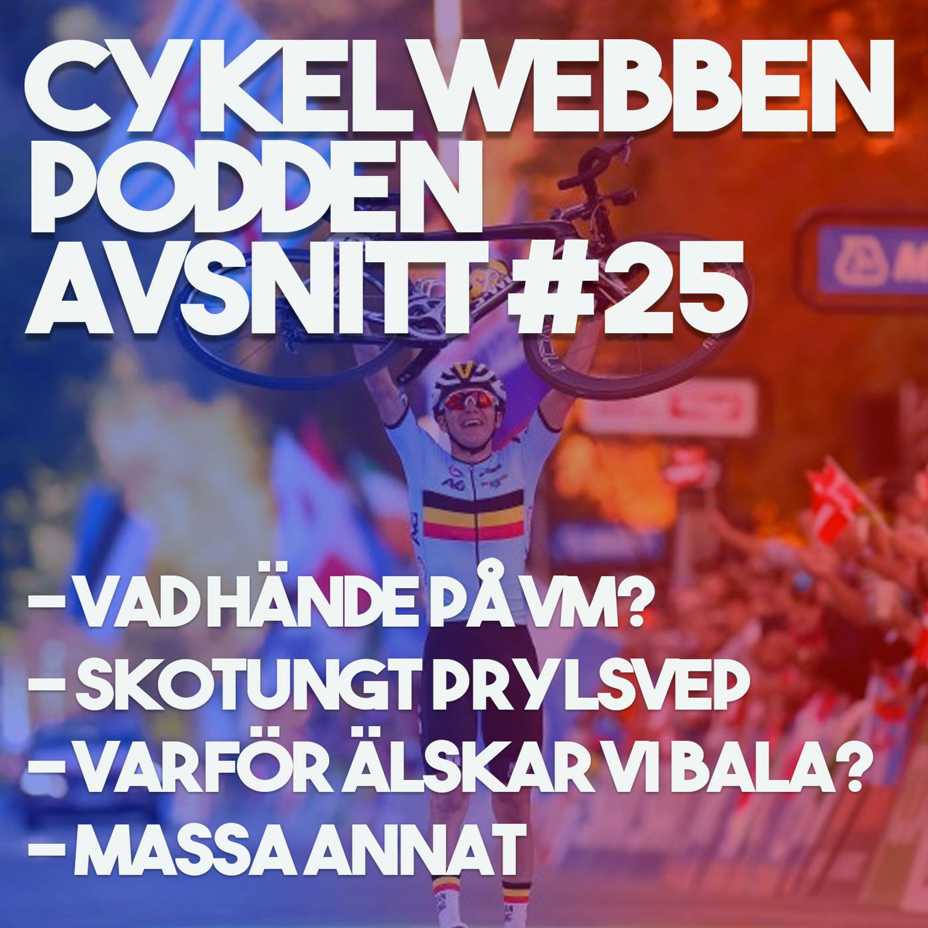 CykelwebbenPodden