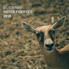El Ciervo (Live) - Indies Fuertes