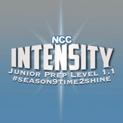 NCC - Intensity