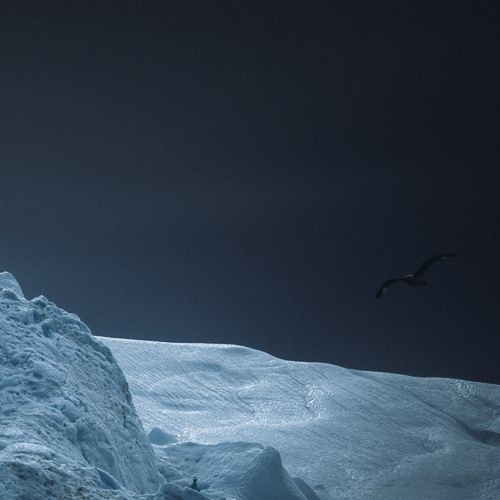 KIASMOS  NILS FRAHM - Says (Improvisation) - Live