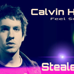 Calvin Harris - Feel So Close(StealeR FX Remix)