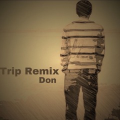 Trip (Remix)- Don