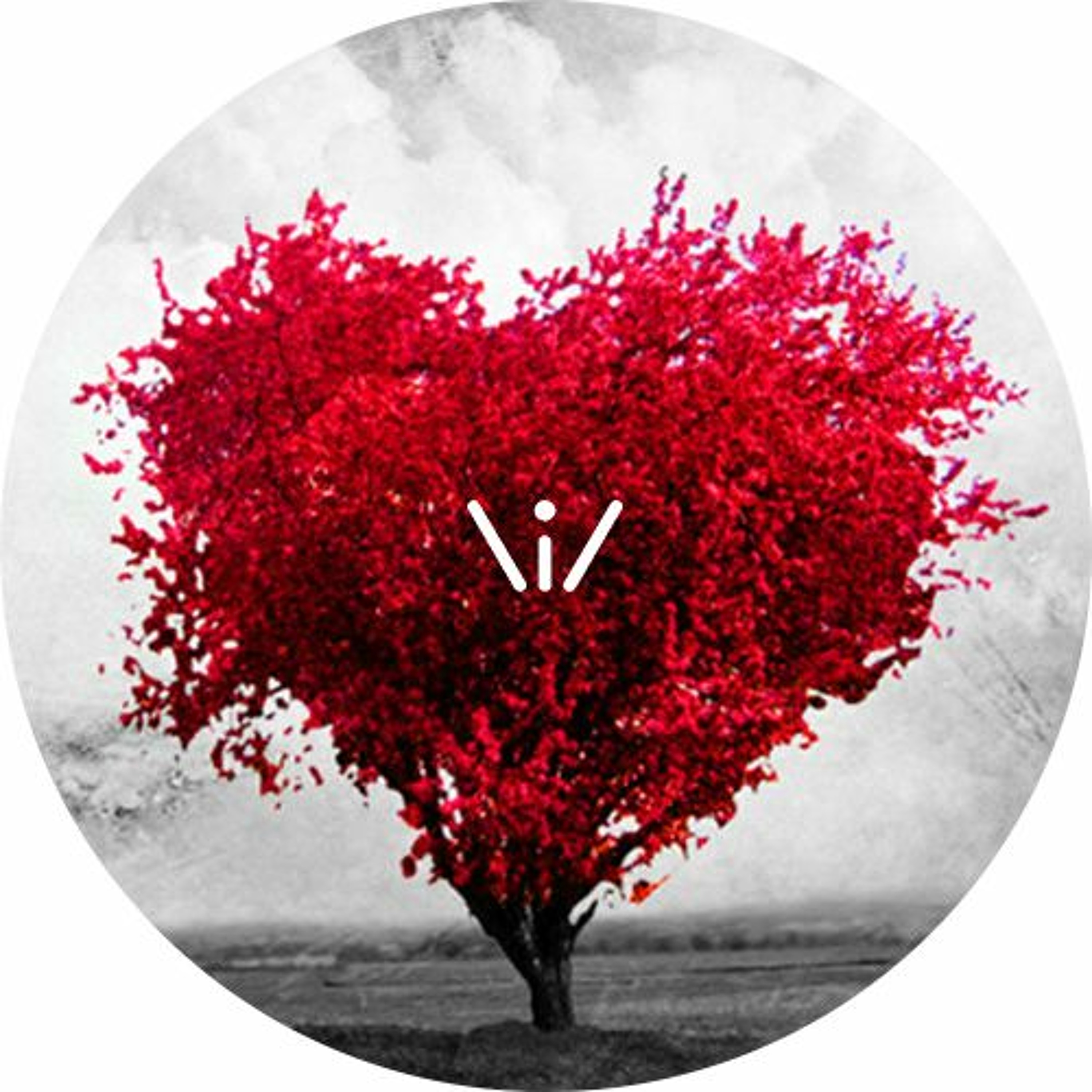 V feat. LipFroy - Mi Amor episode artwork