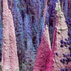 Water Planet | Moon City