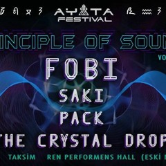 PACK - Priciple of Sound (FOBI)