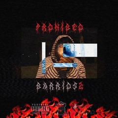 Rockin In The Streetz [Prod. By Prohibeo]