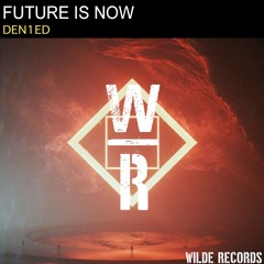 Den1ed - Future is Now (Original Mix)