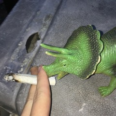 Bud Knight
