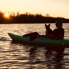 Buddy System. sample