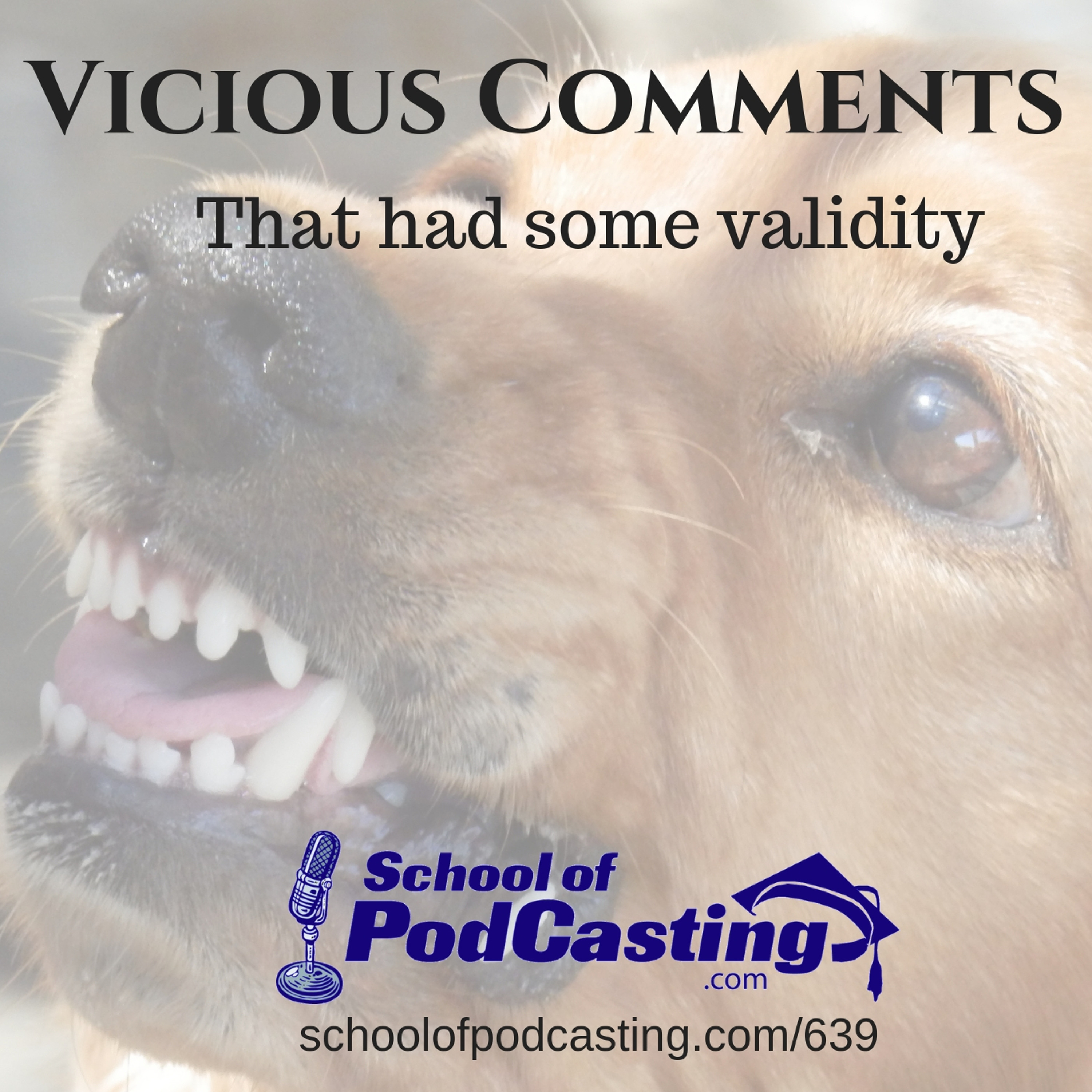 Vicious Listener Comments That Were 100% True episode artwork
