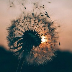 DJ Killens - The Rascal (Ft. Phlake)