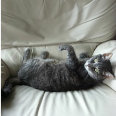 Sloth Love (6obby remix)