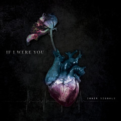 Fraud - If I Were You