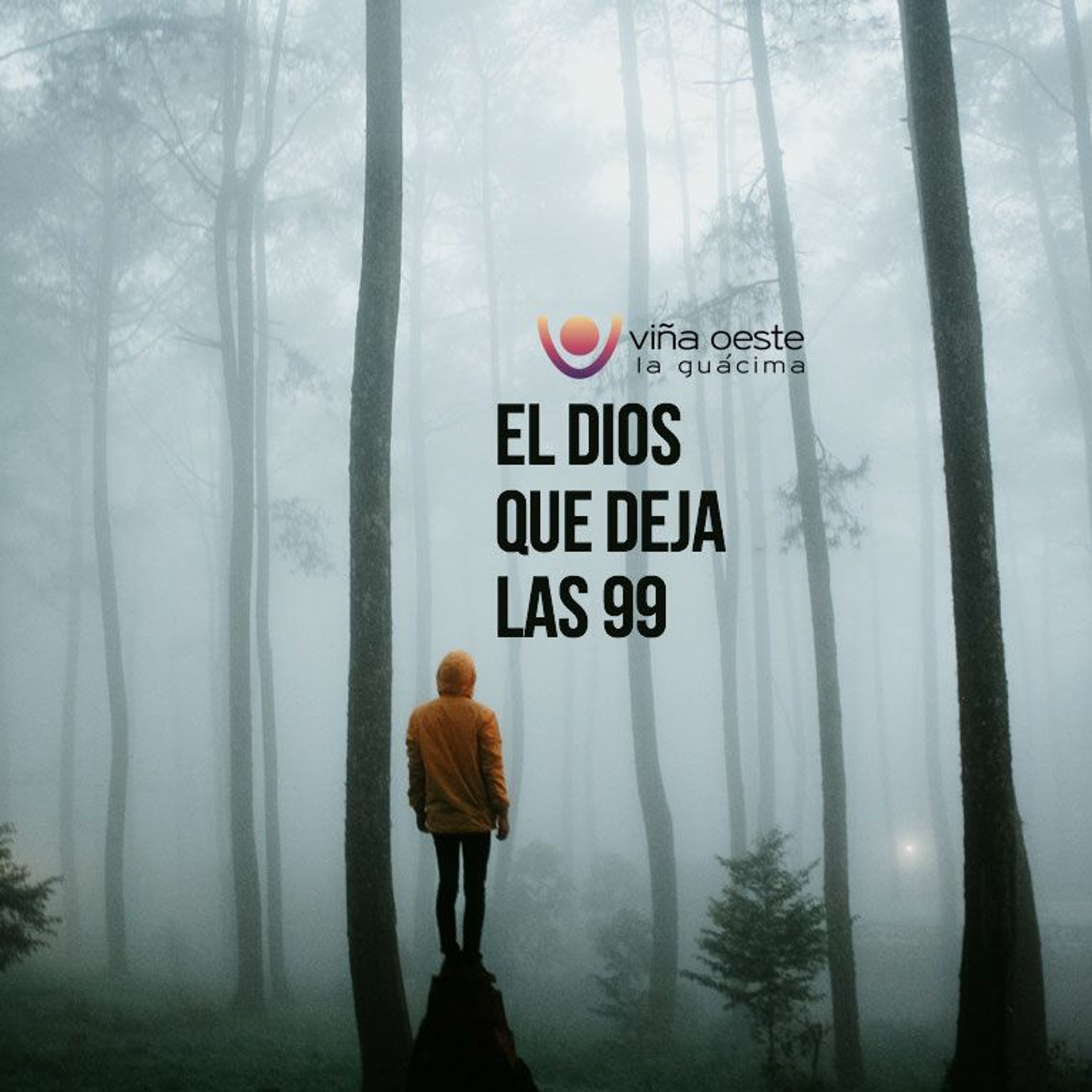 Viña Oeste La Guácima