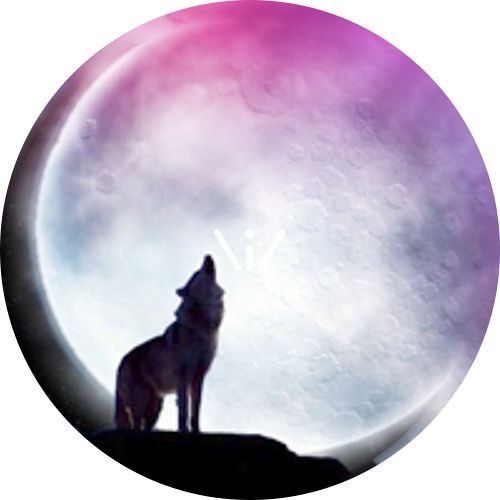Phantogram – Howling at the Moon (V Bootleg)