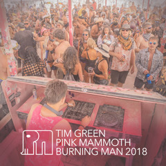 Tim Green - Pink Mammoth - Burning Man 2018