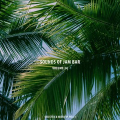 Sounds of Jam Bar Volume 34 (Selected & Mixed by Feel-I)