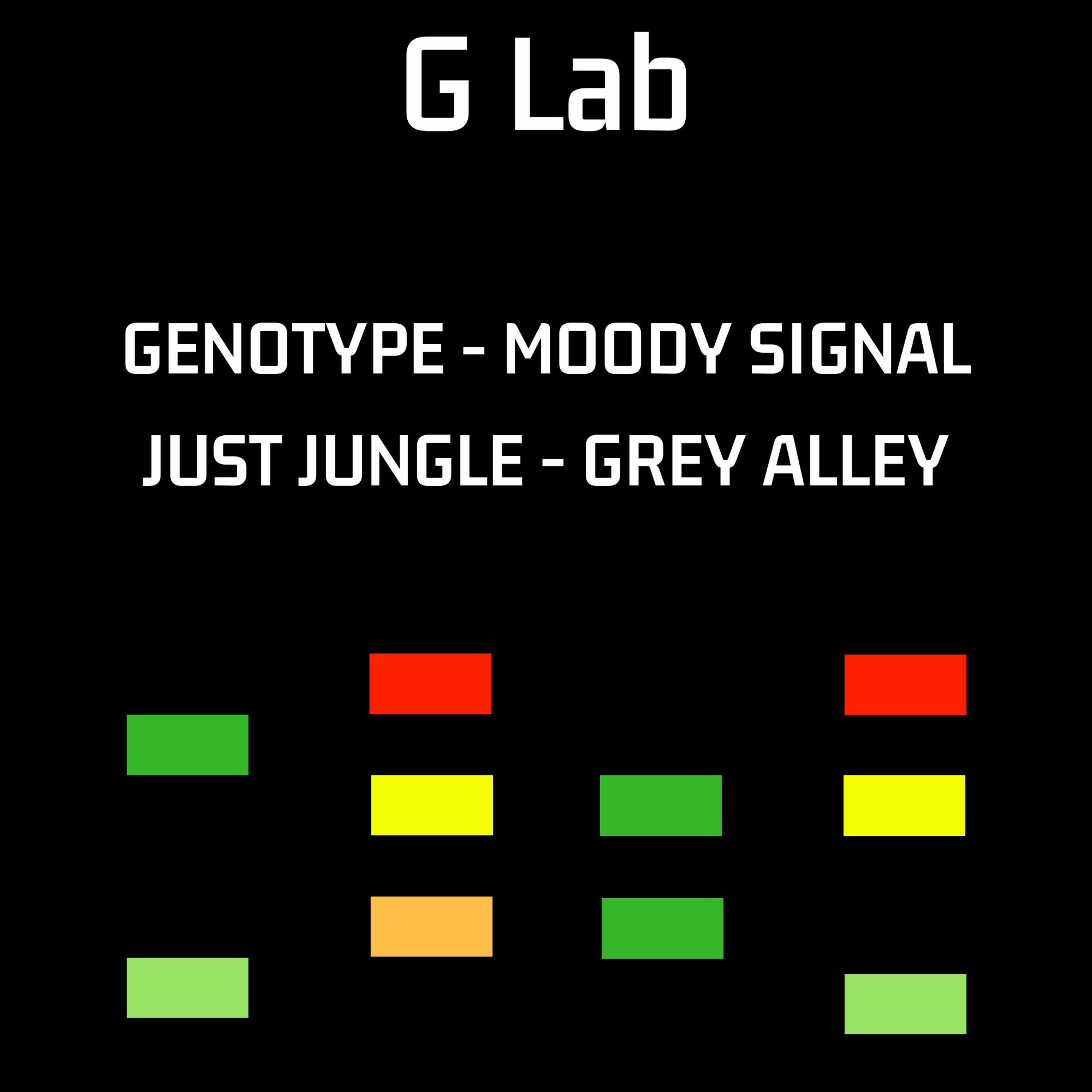 Genotype - Moody Signal - G Lab episode artwork