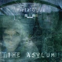 02 The Asylum [Metalogue & Fluff]