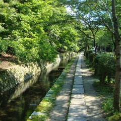 いつもと違う朝