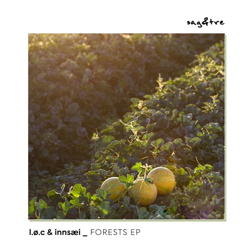 PREMIERE: LØC & Innsæi - A Winter In Kyoto [Sag & Tre]