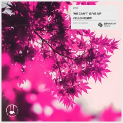 EDX - We Can't Give Up (FE:LO Remix)