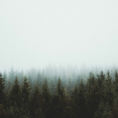 임창정 - 하루도 그대를 사랑하지 않은 적이 없었다 Piano