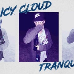 Icy Cloud - Tranqui