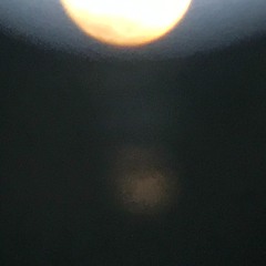 Jane Says - cover by Tim Howitt 3