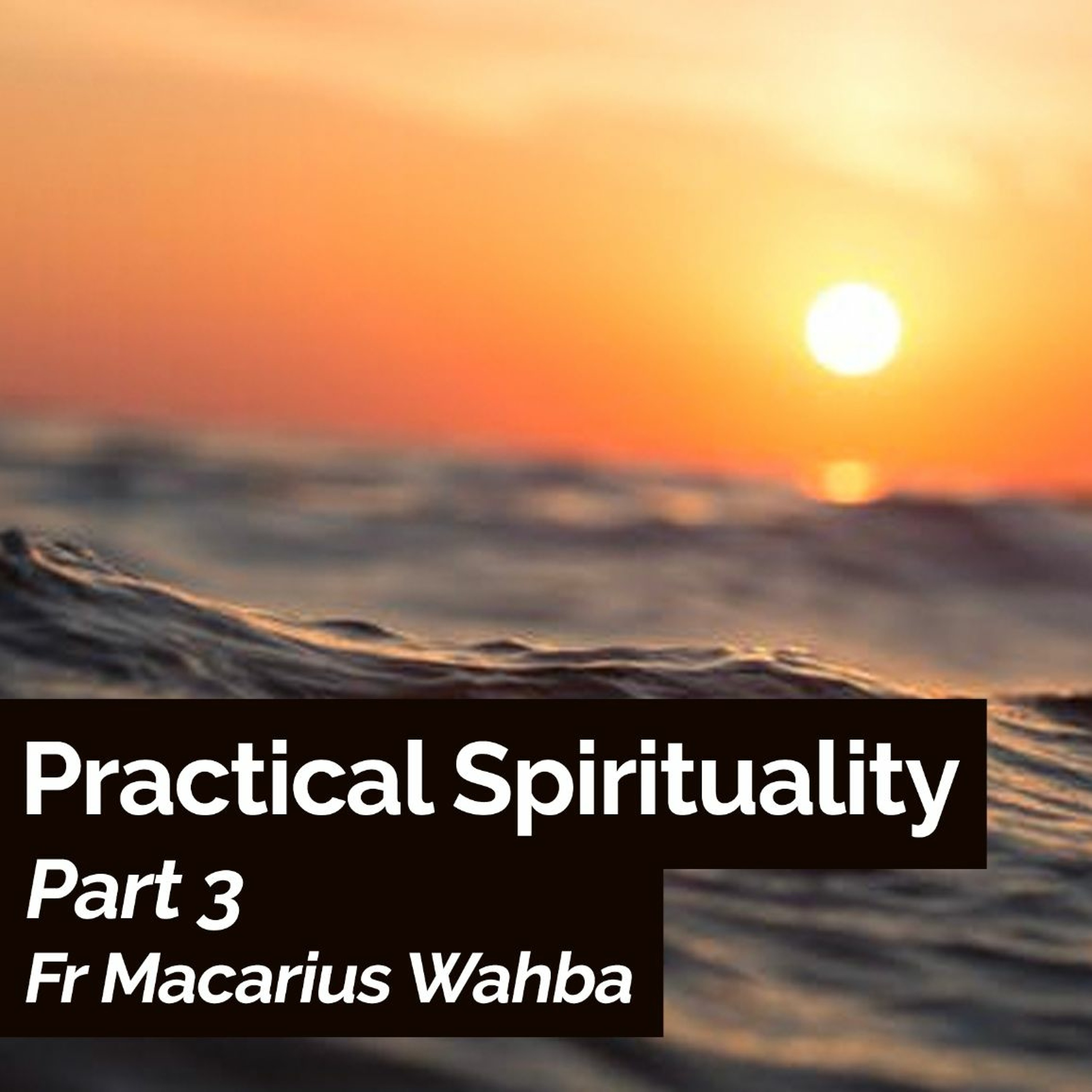 Practical Spirituality - Part 3 - Fr Macarius Wahba