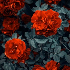 R&B Yoga Mix 1 (Elijah Jamal Asani)