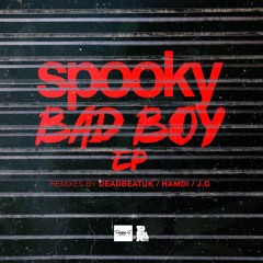 Spooky - BadBoy (Hamdi Remix)